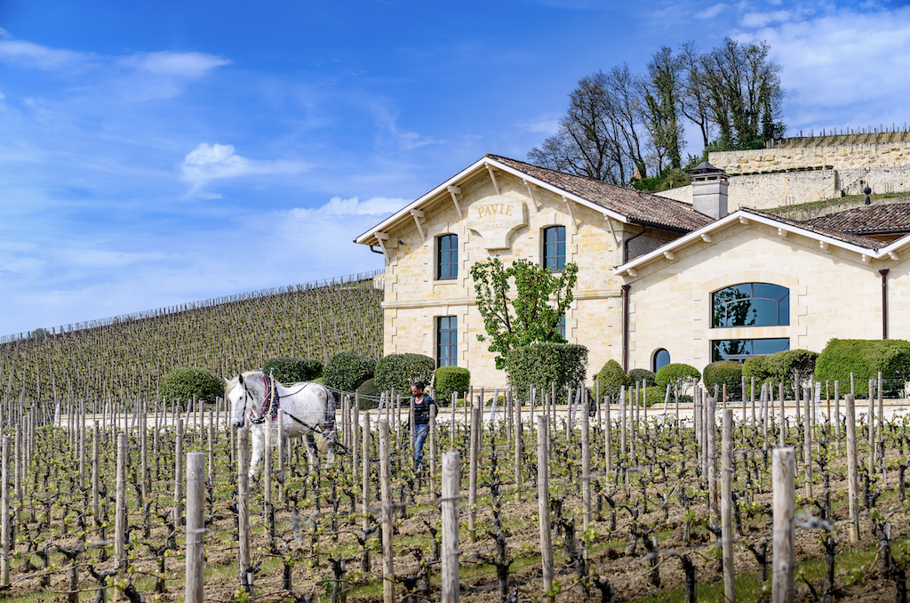 A Timeless Retreat: Discover the Magic of Hôtel de Pavie