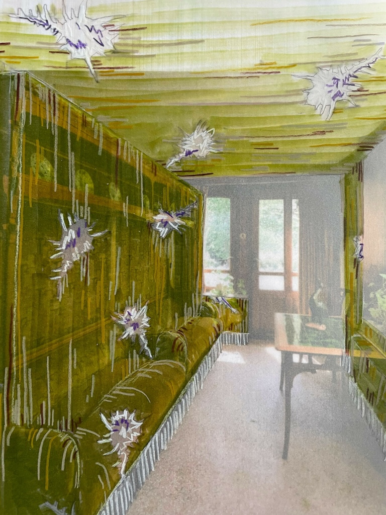 Velvet Dreams: A New Chapter at the Horta Museum