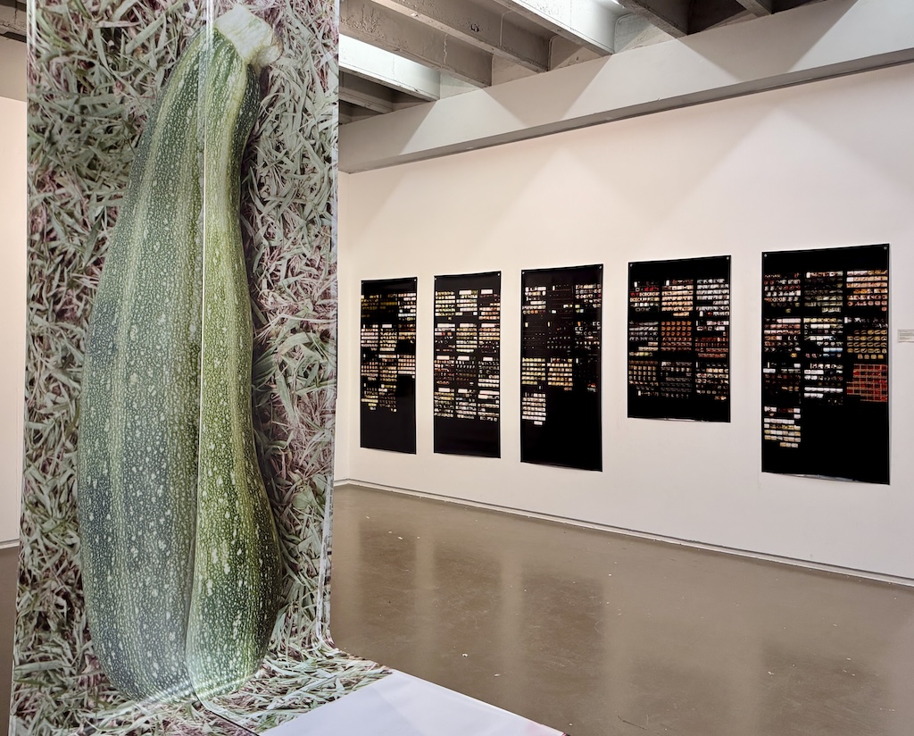 Discover Individual Visions at The Solo Project