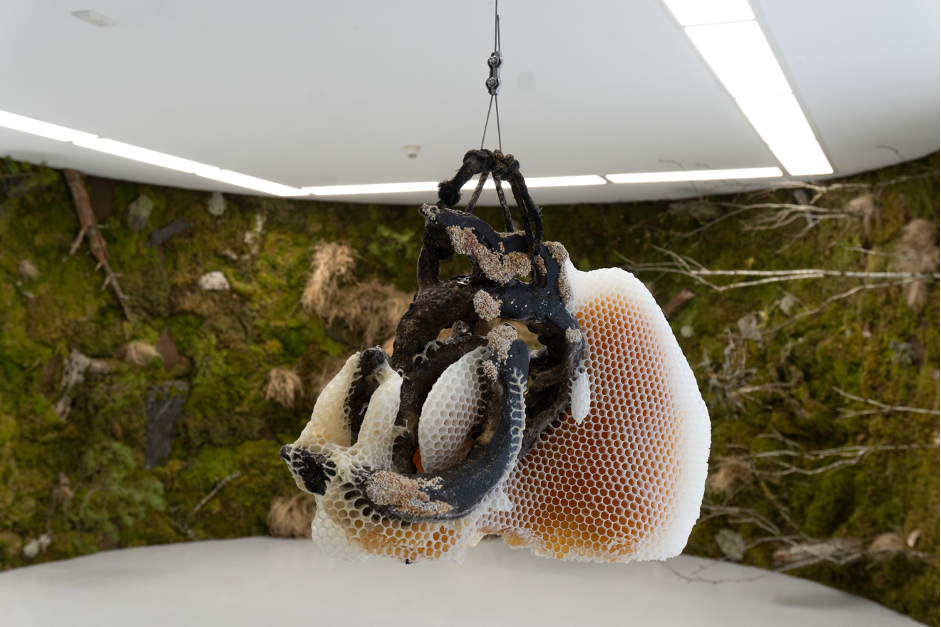 Ceramic Brussels 2025: Second Edition Marked by Innovation