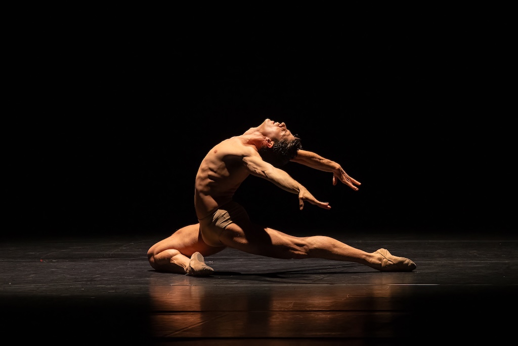 Where Control Becomes Desire: Time To Dance by Wim Vanlessen